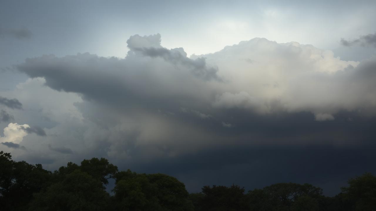 Storm & Tornado Tree Prep: A Walker County & Greater Birmingham Homeowner's Checklist
